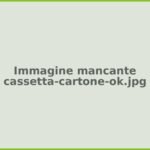 cassetta-cartone-ok